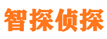 遂宁外遇出轨调查取证